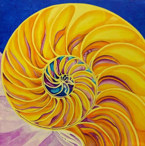 The Golden Ratio- Nautalus Sea Shell